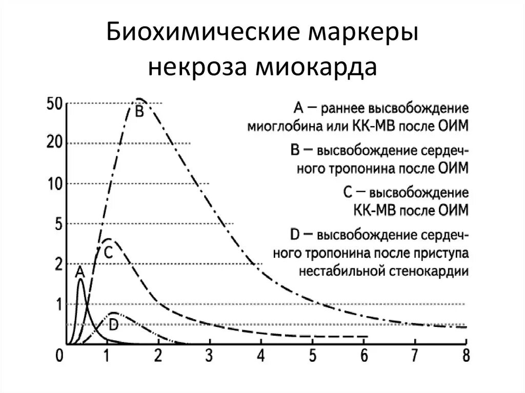 Динамика маркеров инфаркта миокарда. Маркер миокарда. Биохимические маркеры инфаркта миокарда. Динамика маркеров инфаркта миокарда. Маркеры повреждения миокарда биохимия.