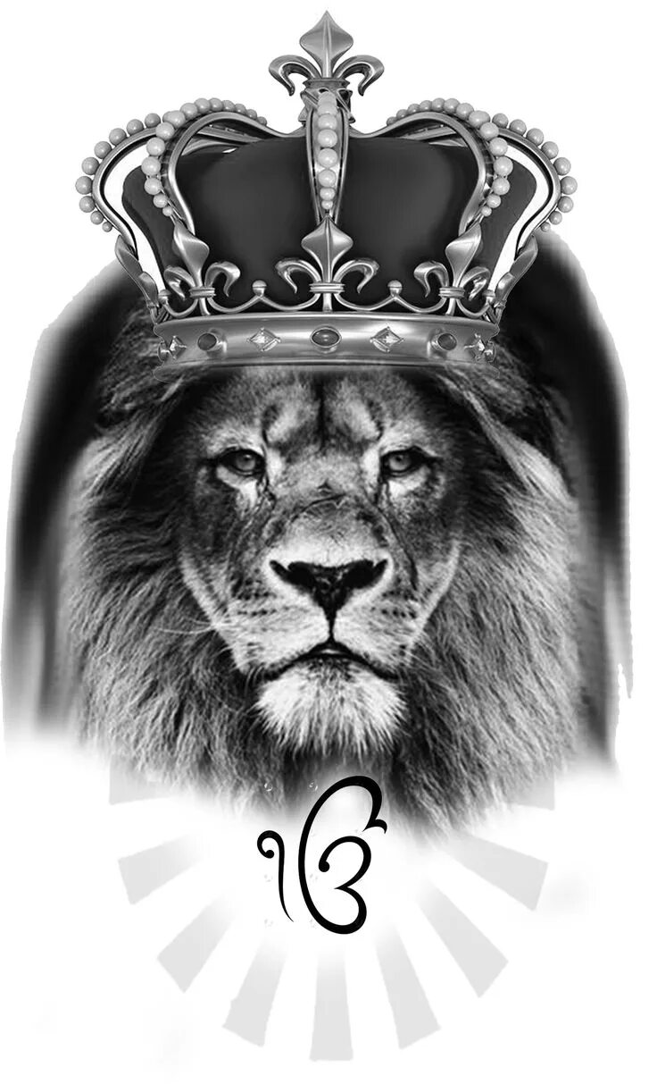 Lion King with Crown Fotografia de leão, Imagens de leão, Papel de parede de ani