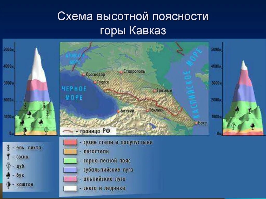 Различия высотной поясности в горах. Высотная поясность Кавказа 8 класс география. Высотная поясность Алтая, Кавказа, Урала. Высотная поясность Западного Кавказа. Горы дальнего Востока Высотная поясность.