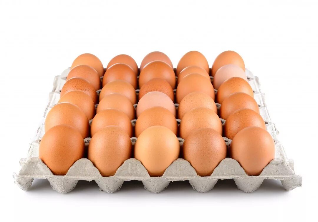 Яйцо куриное. Куриные яйца в лотке. Решетка для яиц. Лоток для яиц.