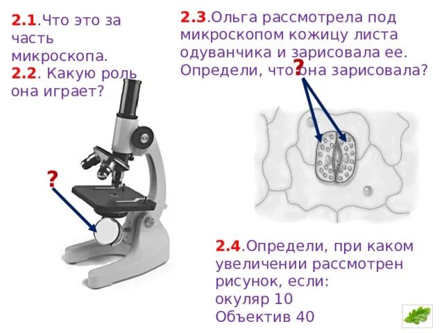 Что рассмотреть под микроскопом в домашних условиях Poussière domestique Scanning electron microscope images, Electron microscope im