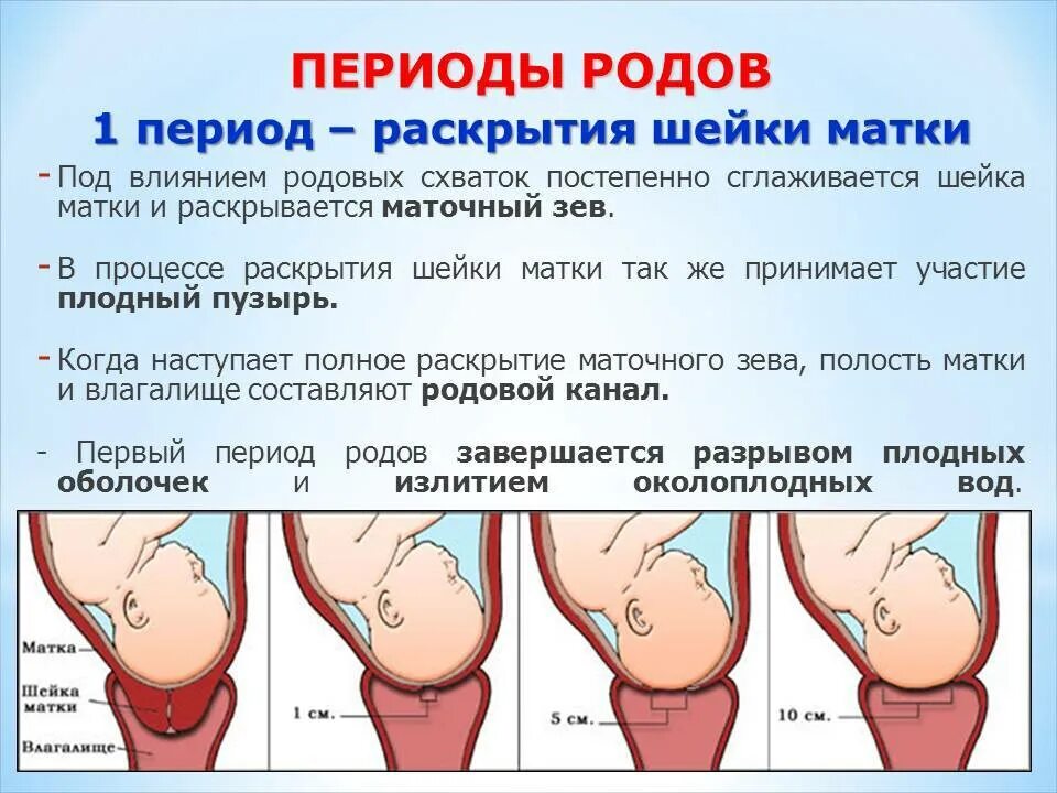 Как пережить схватки. Раскрытие шейной матки. Период раскрытия шейки матки.