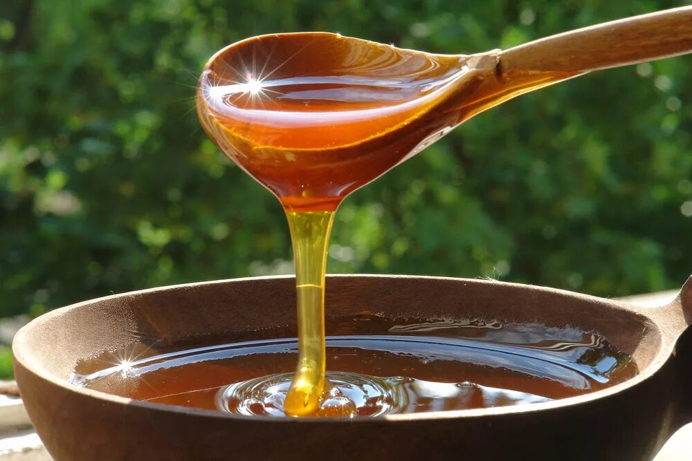 Приготовление медной воды. Мед гречишный дягиль. Мёд дягилевый. Алтайский гречишный мед. Темный Алтайский дягилевый мед.