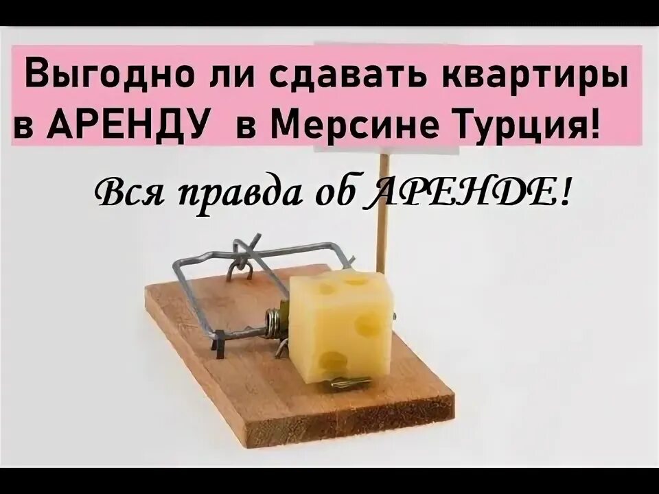 Выгодно ли сдавать дом в аренду посуточно. Выгодно ли сдавать дом в аренду посуточно