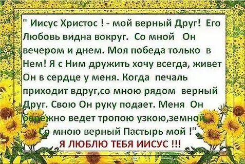 Песня друг мой верный друг