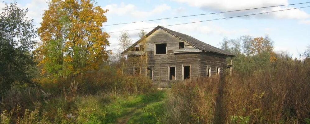 Поселок кингисеппский. Поселок кингисеппский. Поселок котельский кингисеппского. Ополье ленобласть. Поселок логи ленинградская область.