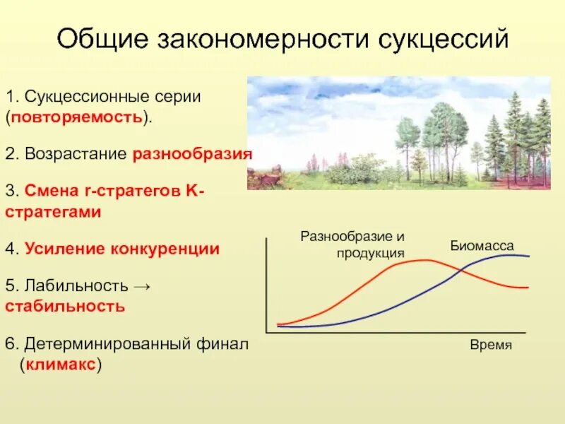 Напишите последовательность процессов происходящих при смене биогеоценозов. Напишите последовательность процессов происходящих при смене биогеоценозов