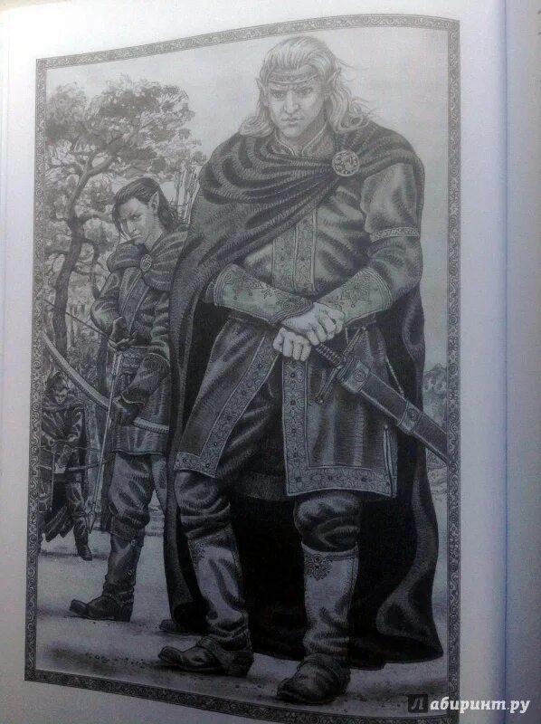 Ведьмак последнее желание денис гордеев. Ведьмак последнее желание денис гордеев. Ведьмак последнее желание арт. Ведьмак: последнее желание. Ведьмак последнее желание иллюстрации.