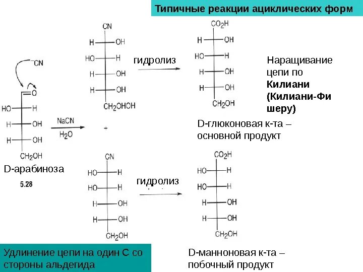 Арабиноза качественная реакция. Галактоза арабиноза. Д галактоза реакции Фишера. D арабиноза. Характерные реакции углеводов