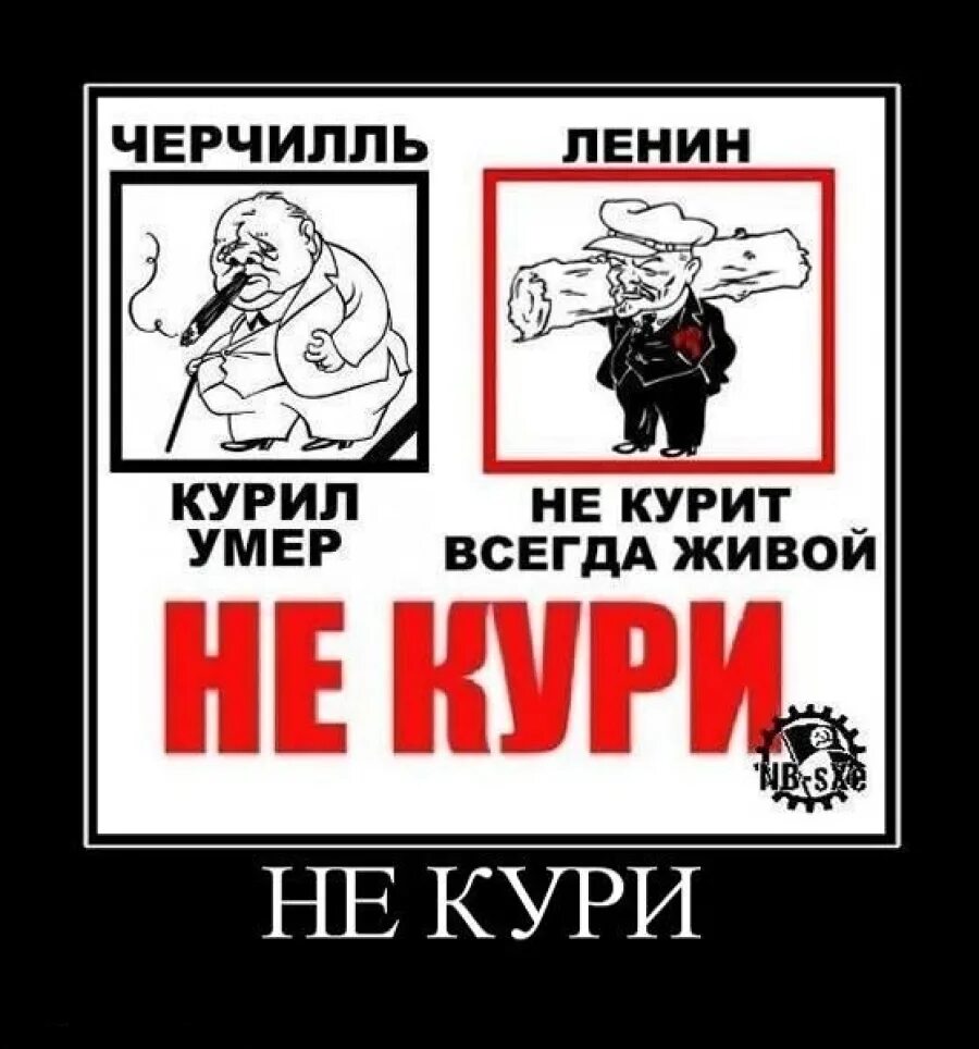 Прикольные надписи на футболках для мужчин. Футболка не пью, не курю. Футболка кури бухай. Не пью не курю не употребляю. Смешные шутки про лешку.