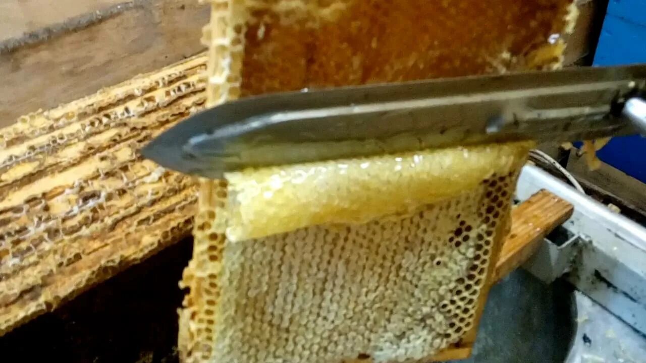 Прополис +и забрус. Забрус медовая рамка. Откачка меда в медогонке. Медогонка пчеловода.