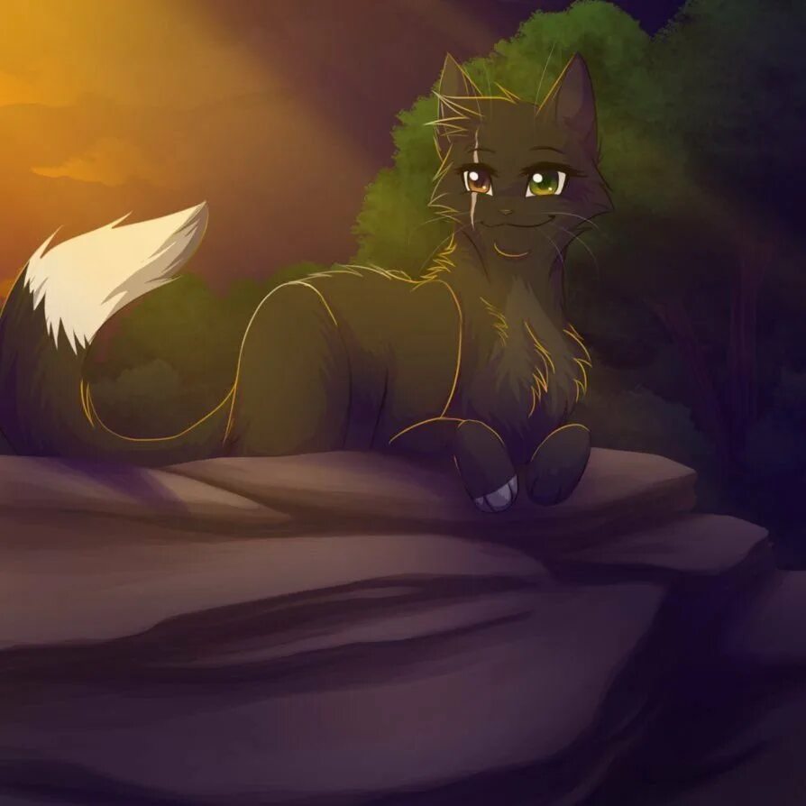 Коты воители. Огнезвёзд крутобок и горелый. Коты воители остролистая львиносвет и воробей. Коты воители огнезвёзд и бич. Хочу коты воители.