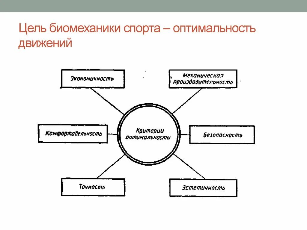 Цели биомеханики. Цели и задачи биомеханики. Цель спортивной биомеханики. Основные разделы биомеханики. Взаимосвязь биомеханики с другими науками.