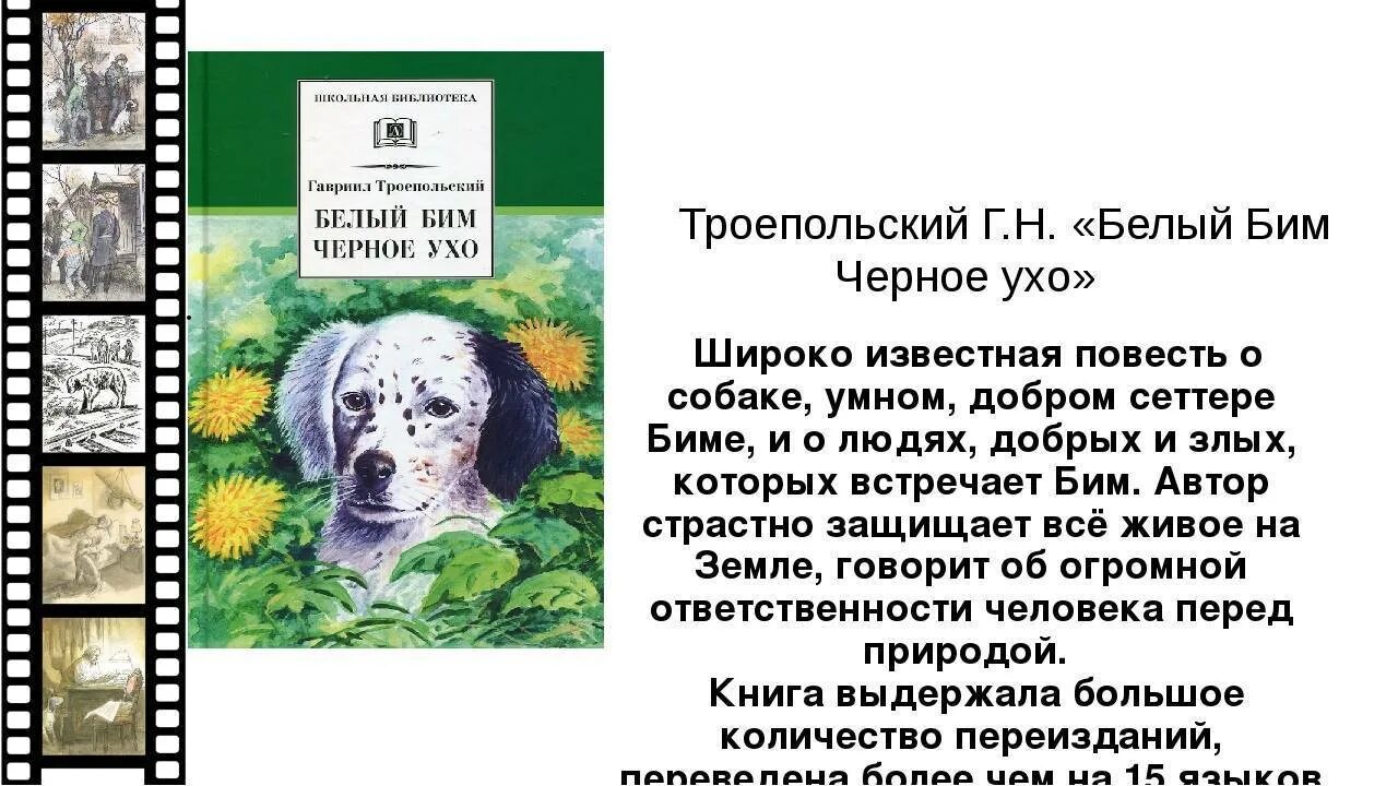 Белый бим черное ухо кратко по главам. Г Троепольский белый Бим черное ухо. Книга г Троепольского белый Бим черное ухо. Белый Бим черное ухо иллюстрации к книге.