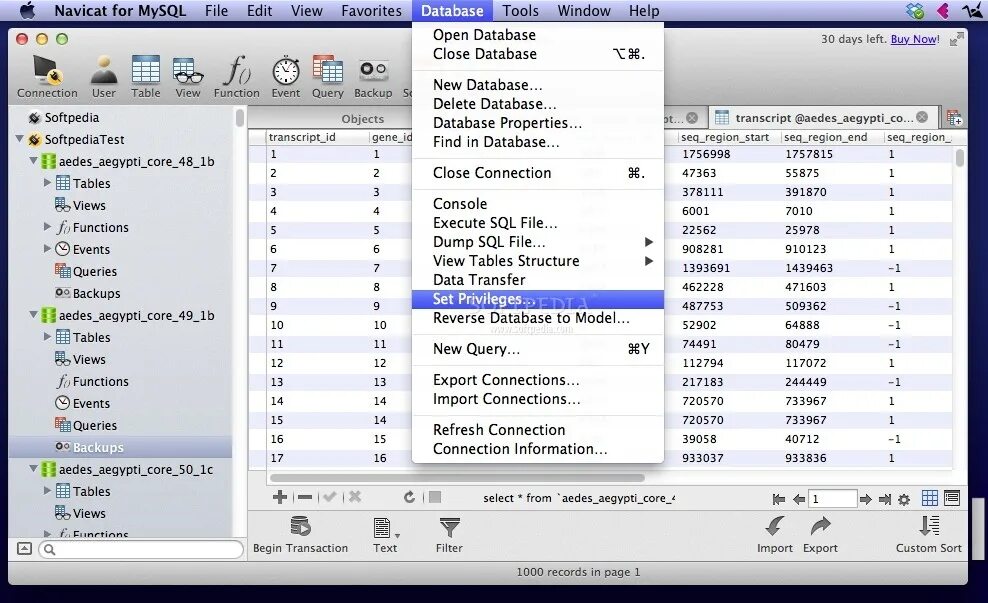 3 3 5 database