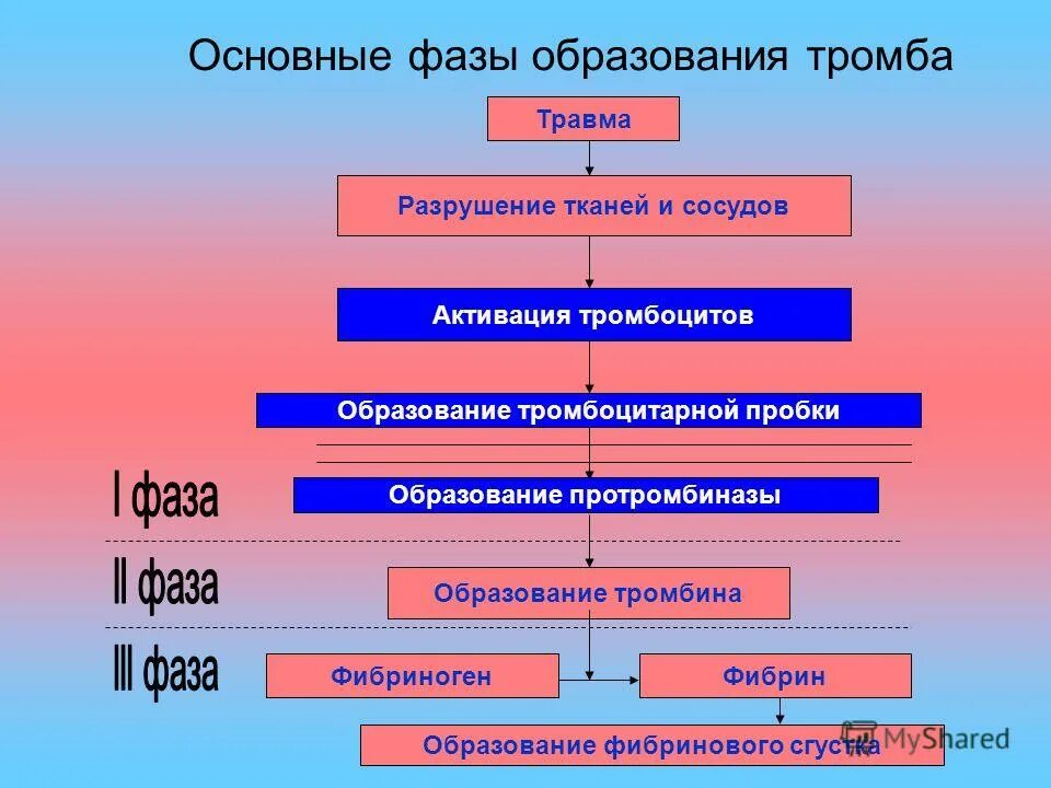 Разрушаются при повреждении сосудов. Свертывание крови при повреждении кровеносных сосудов обеспечивают. Разрушаются при повреждении сосудов. Разрушаются при повреждении сосудов. Механизмы повреждения стенки сосудов.