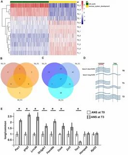 Gene expression