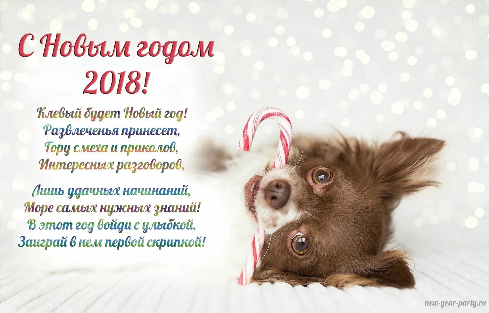 Стихи на год собаки. С новым годом 2018. Год собаки поздравления. Новогодние собачки. Пожелания собакам на новый год.