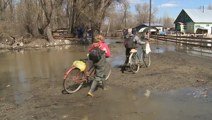 Уровень воды в чарыше на сегодня. Чарыш Карпово 2. Уровень воды в реке Чарыш Карпово 2. Чарыш Карпово второе.