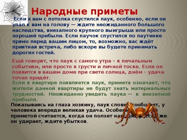 Увидеть дома паука примета. Примета паук спускается. Примета паук спускается вниз. Приметы паукообразных. Паучок примета.