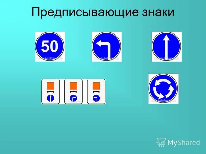 Тест пдд предписывающие знаки. Тест пдд предписывающие знаки