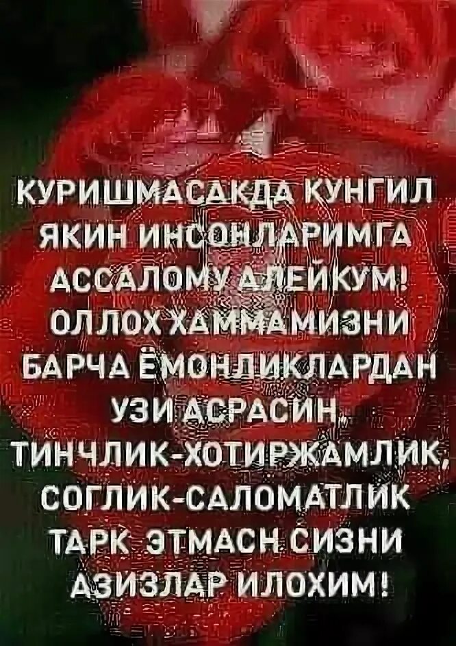 Аллохни панохида булинг. Хайр сог булинг. Саломат булинг. Рахмат сог булинг. Оллохни панохида булинг.