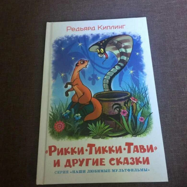 Содержание рики. Содержание рики
