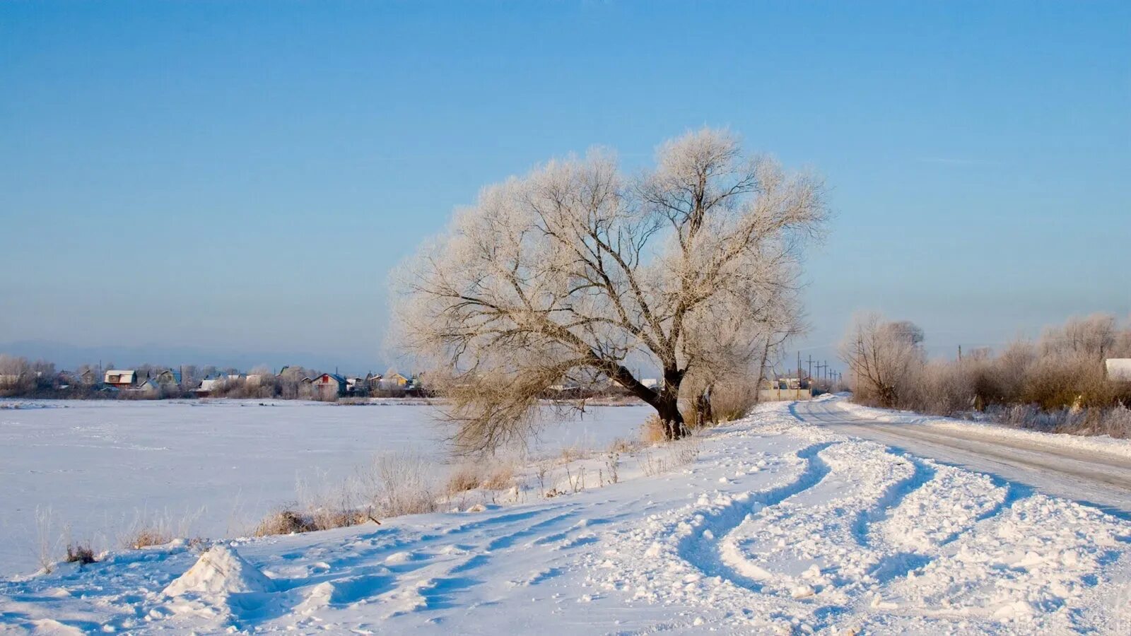 Обои на андроид календарь январь 2025 January 2021 Calendar Wallpaper Calendar wallpaper, Desktop wallpaper calendar,