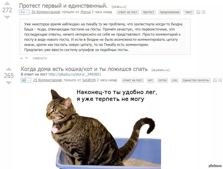 Как ответить на пост. Пикабу пост. пикабу фраза. цитаты комментируют. пикабу комментарии.
