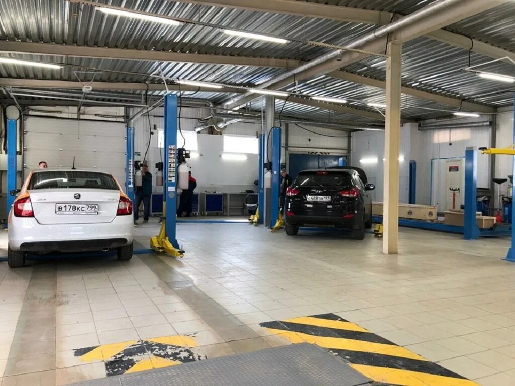 Общага хостел. Автопилот сервис. Ул. 1а. Автопилот одинцово акуловская.