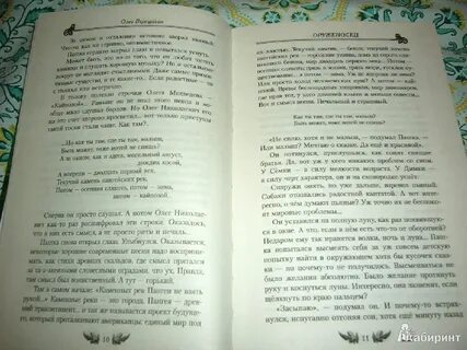 Оруженосец книга