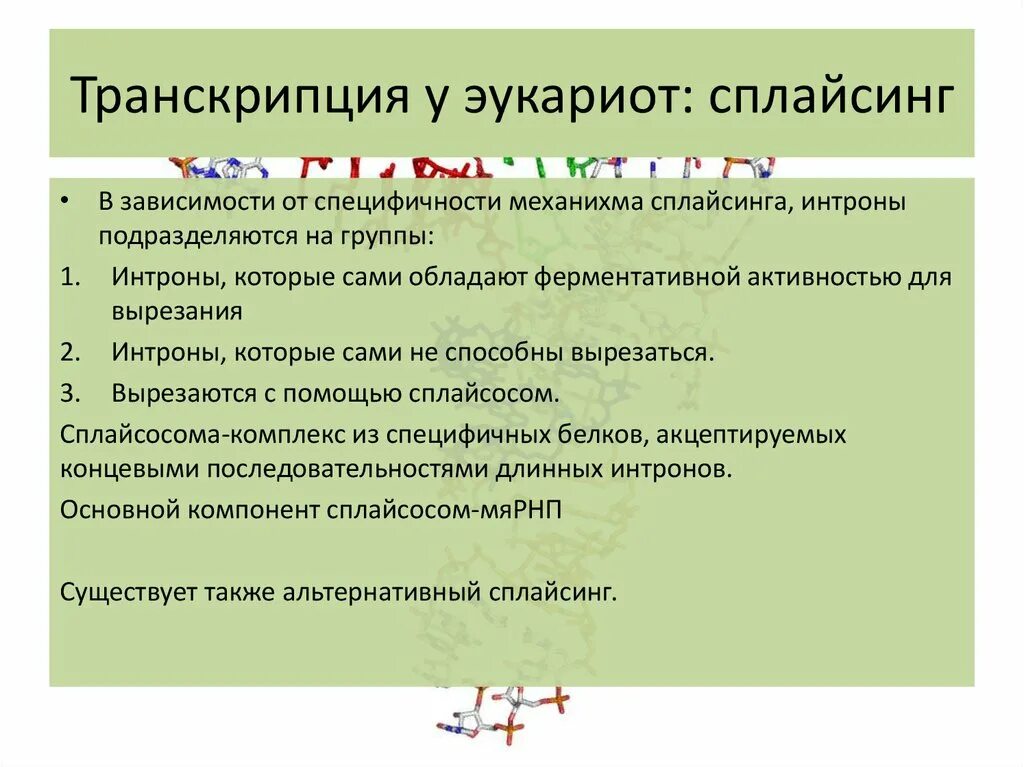 Какие признаки можно использовать для описания транскрипции. Транскрипция у эукариот. описание транскрипции у эукариот. этапы транскрипции у эукариот. особенности транскрипции у эукариот.