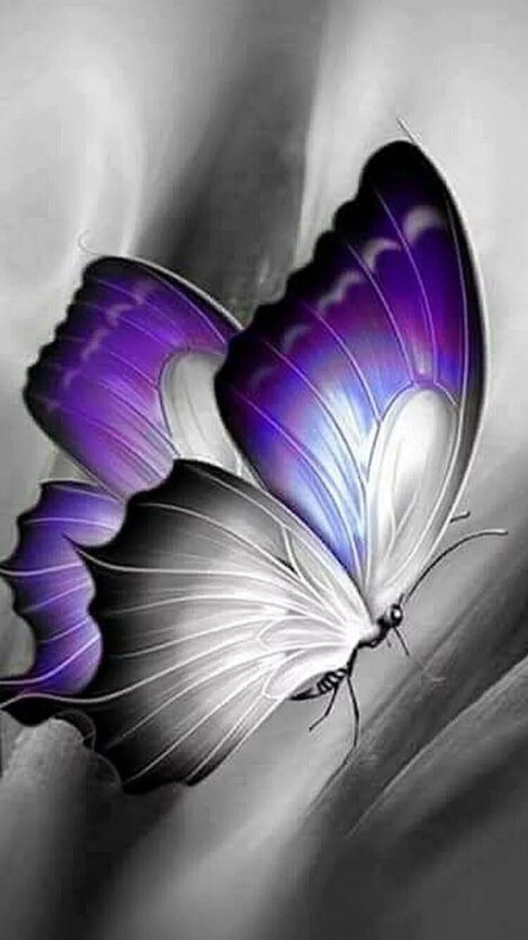 Бабочки. Красивые бабочки. Прекрасная бабочка. Фантастические бабочки. Красивая аватар на телефон