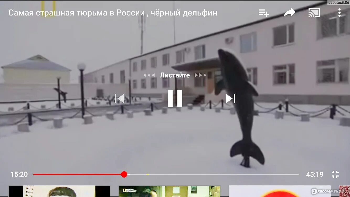 Ли кто нибудь из черного дельфина