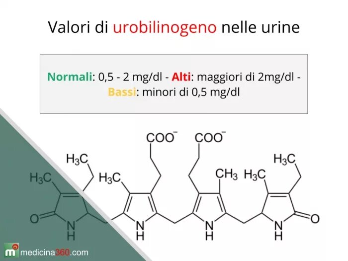 Уробилиноген повышен у мужчин. Уробилин в моче норма показатели. Уробилиноген структурная формула. Уробилиноген и уробилин в моче. Уробилин мочи норма.