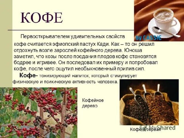 Кофе пикколо - рецепты, особенности приготовления