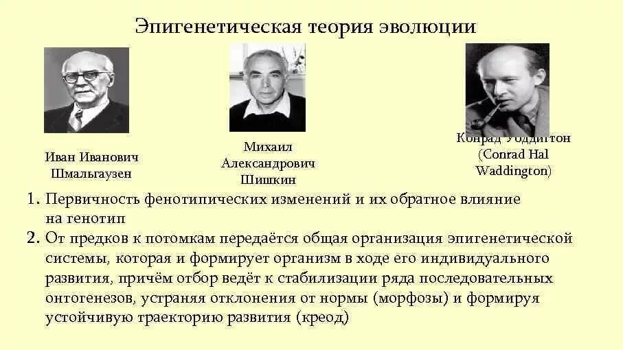 Кто является основоположником эволюционной теории. Эпигенетическая теория развития. эпигенетическая теория эволюции. эпигенетическая теория шишкина. эпигенетические теории в дифференциальной психологии.