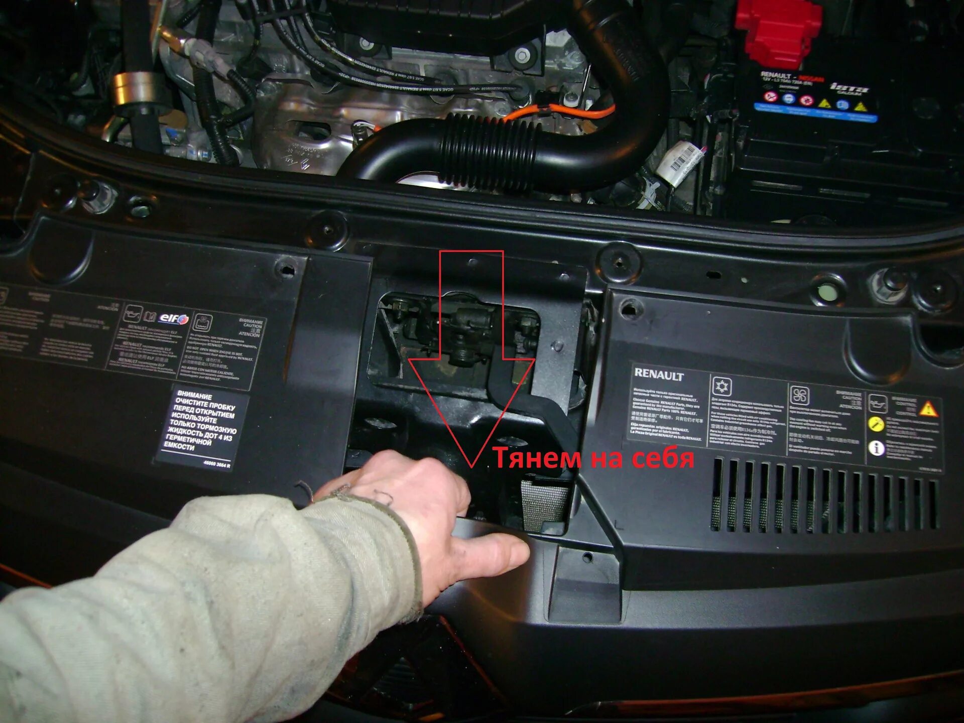 Где находится вин номер на рено сандеро Identification numbers and information on plates (Renault Symbol 2, 2008-2013, p