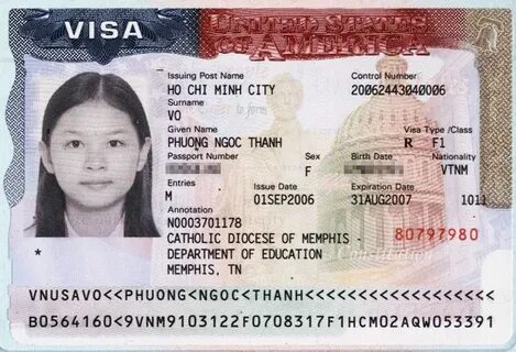 Document number