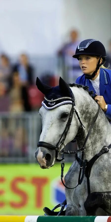 Спортсменки конного спорта. Лошадь на соревнованиях. Спортсменка конного спорта. Изабель верт выездка. Анастасия щербакова конкур.