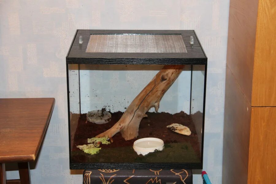 Домик для улитки. Ахатина фулика террариум. террариум для улитки ахатины. домик для улитки ахатины. террариум для улиток ахатин.