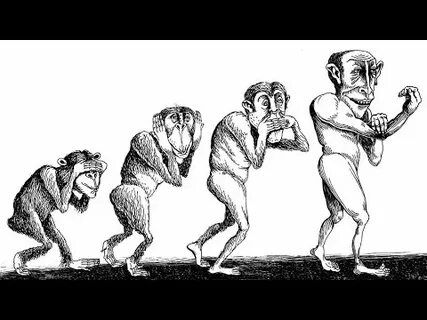 Развитие наоборот
