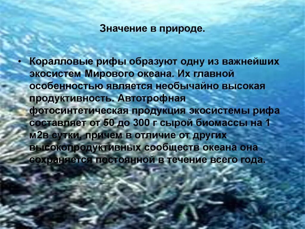 Самым распространенным растением мирового океана является