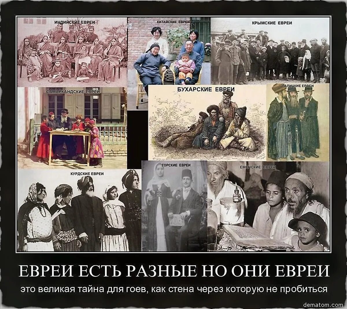 Почему так не любят евреев. Евреи везде. евреи черти. есть евреи а есть. демотиваторы про евреев.