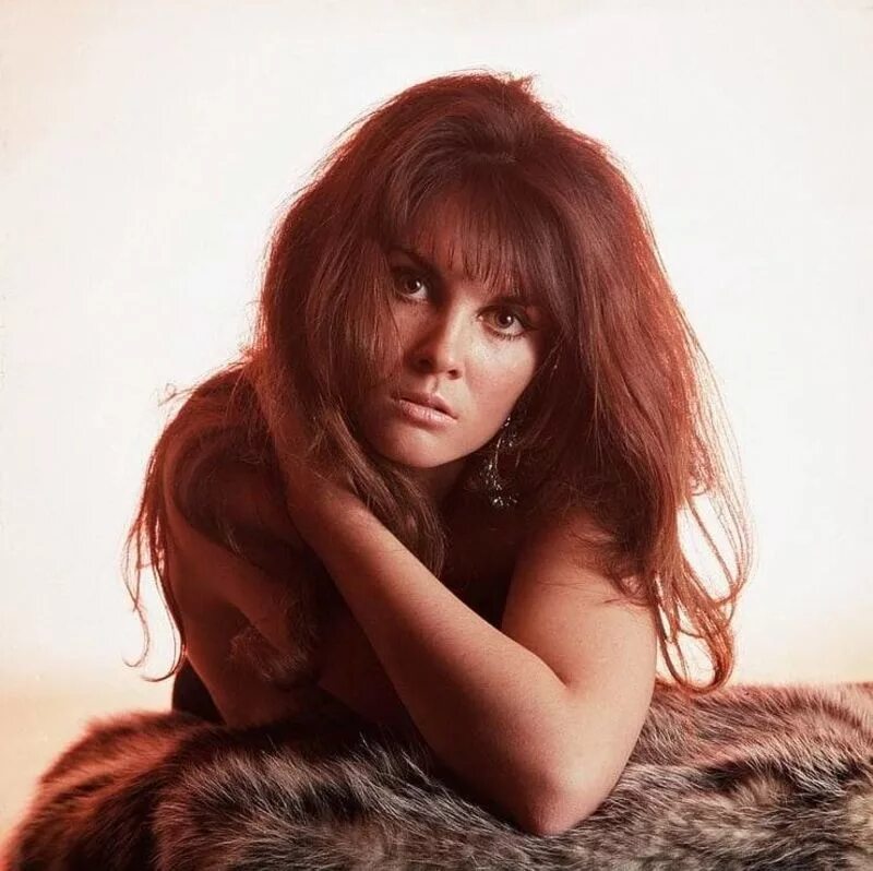 Кэролайн манро. Caroline munro 1970. caroline munro 1971. ракель кэролайн. британские актрисы 70-х.