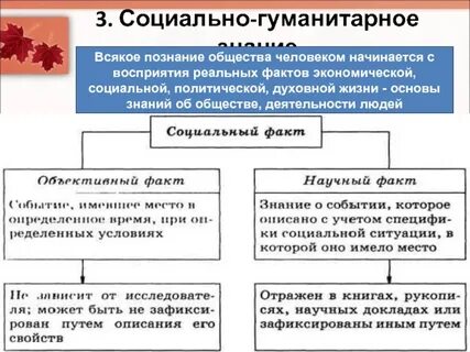 Соц гуманитарное знание