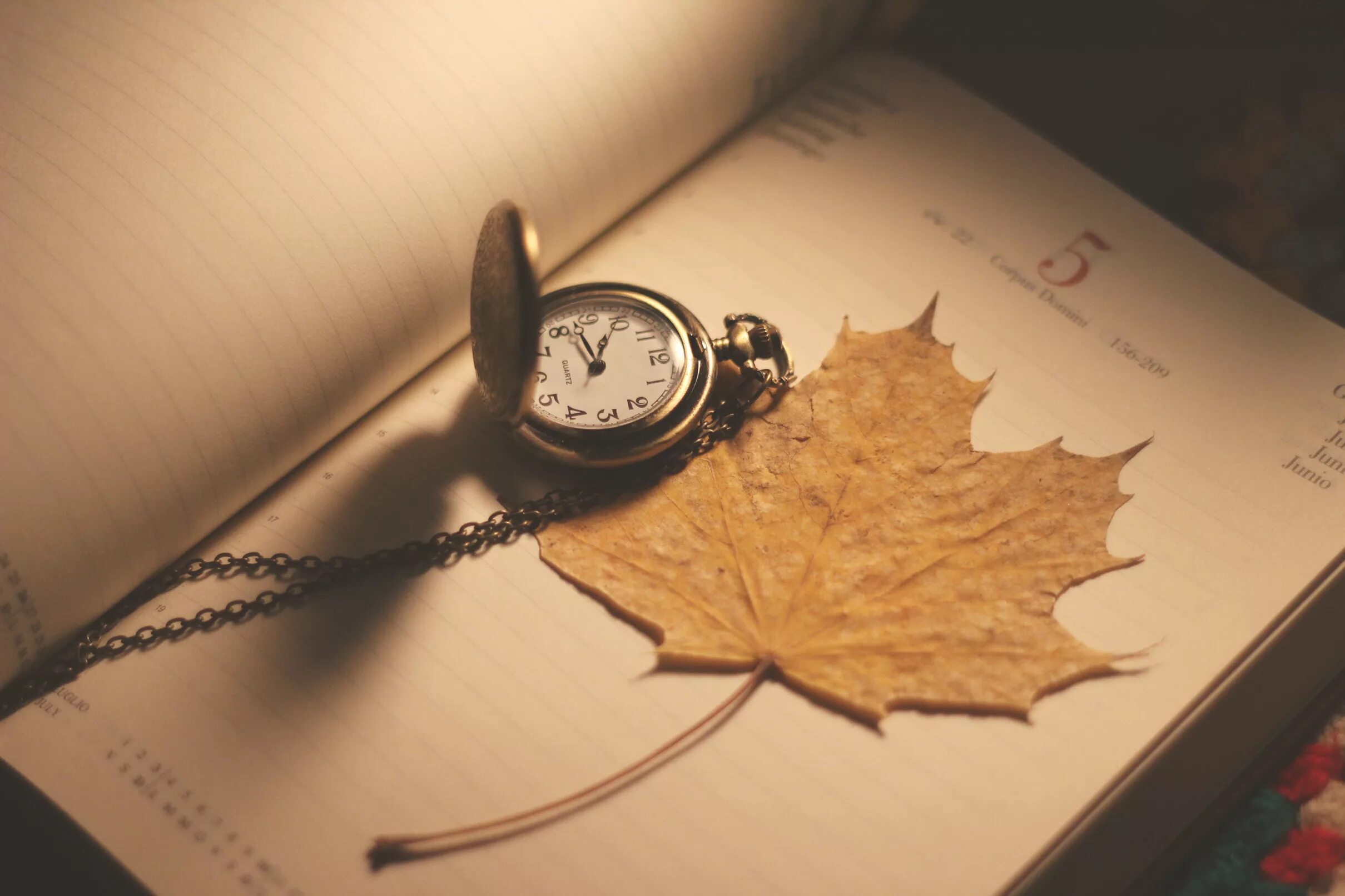 Лист с временем. Часы листок. Золотые часы старинные обои. Leaves время. Группа листья времени