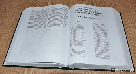 Лео пушкин