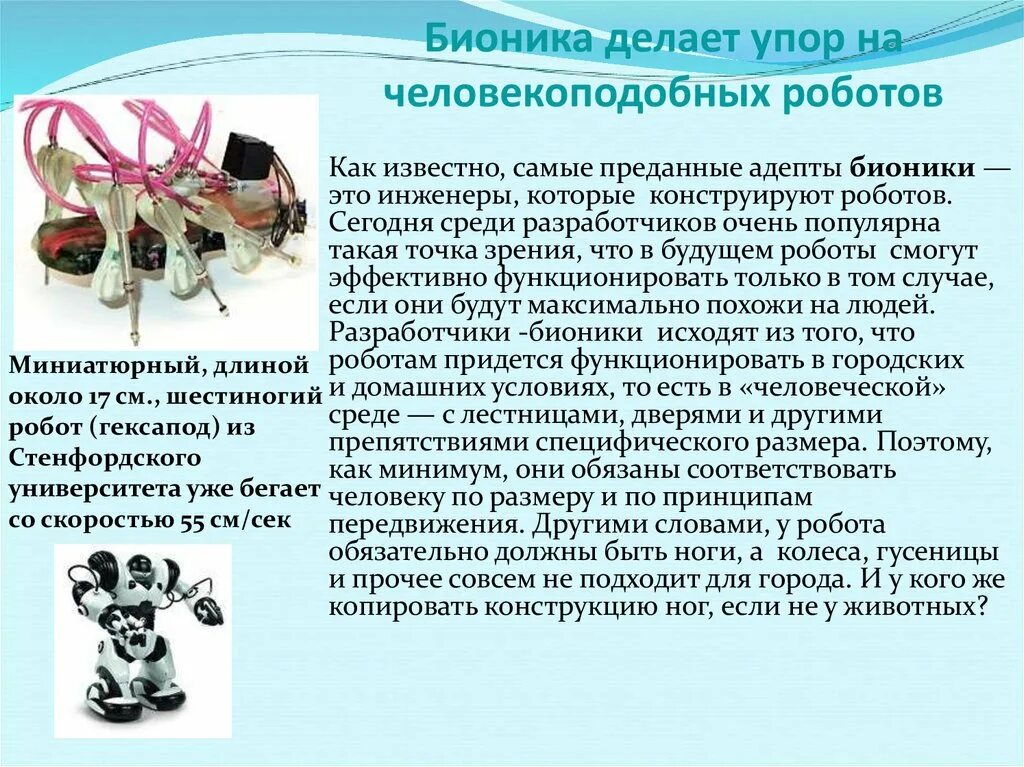 Примеры бионики в биологии. Бионика примеры. Бионика наука. Примеры бионики в жизни человека. Примеры бионики в жизни человека.