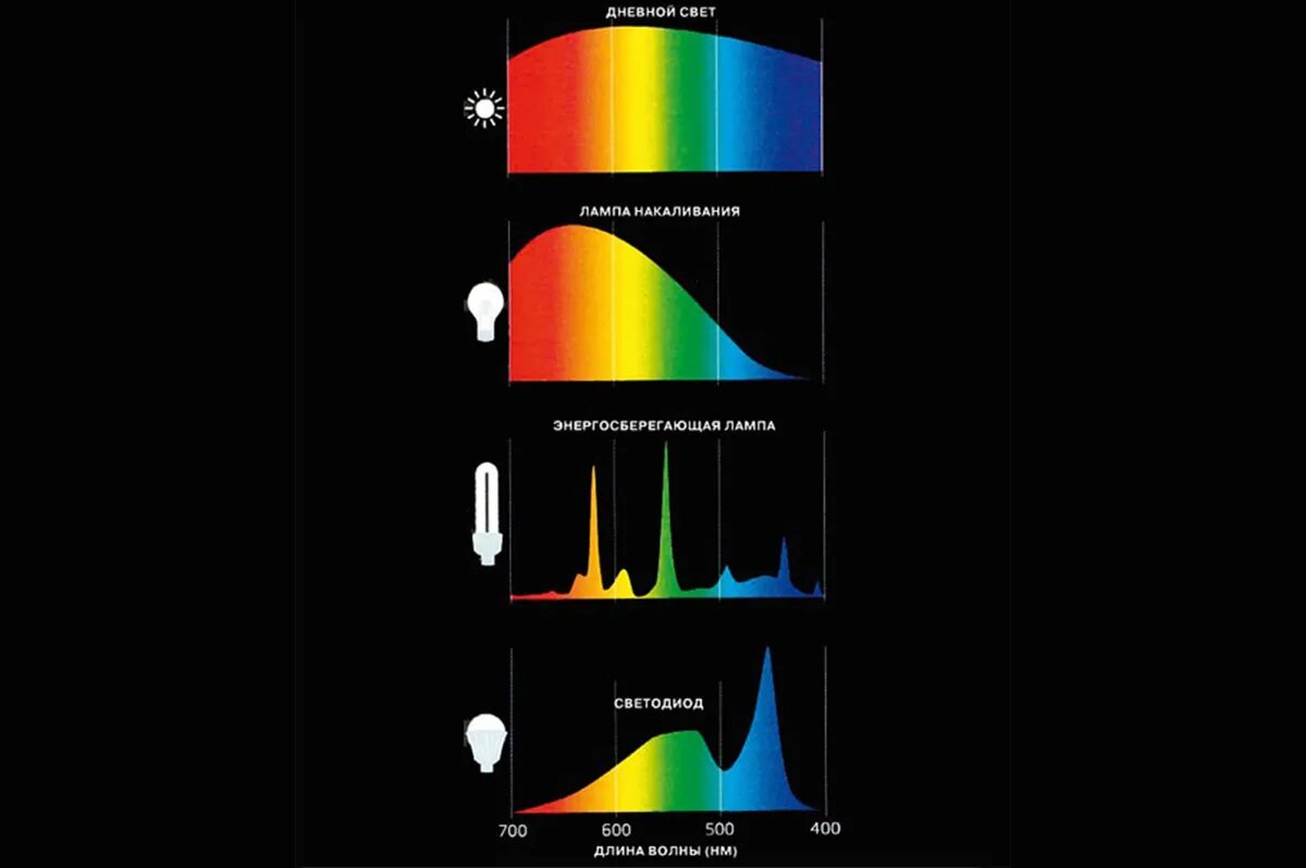 Спектр излучения галогенной лампы. Спектр излучения светодиода. Спектр люминесцентной лампы дневного света. Спектр излучения лампы накаливания. Холодного спектра света излучение
